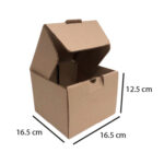10 Cajas 16.5x16.5x12.5 cm Corrugado para Envios O Alimentos